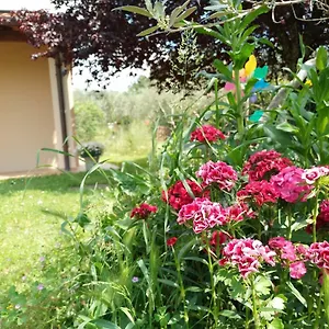 A La Maison Bed & Breakfast